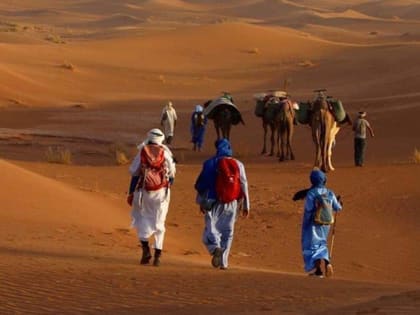 A small caravan walking through the dunes with loaded camels, late light