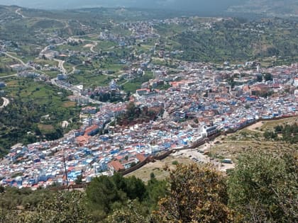 Chefchaouen seen from above, its blue houses set in the green Rif